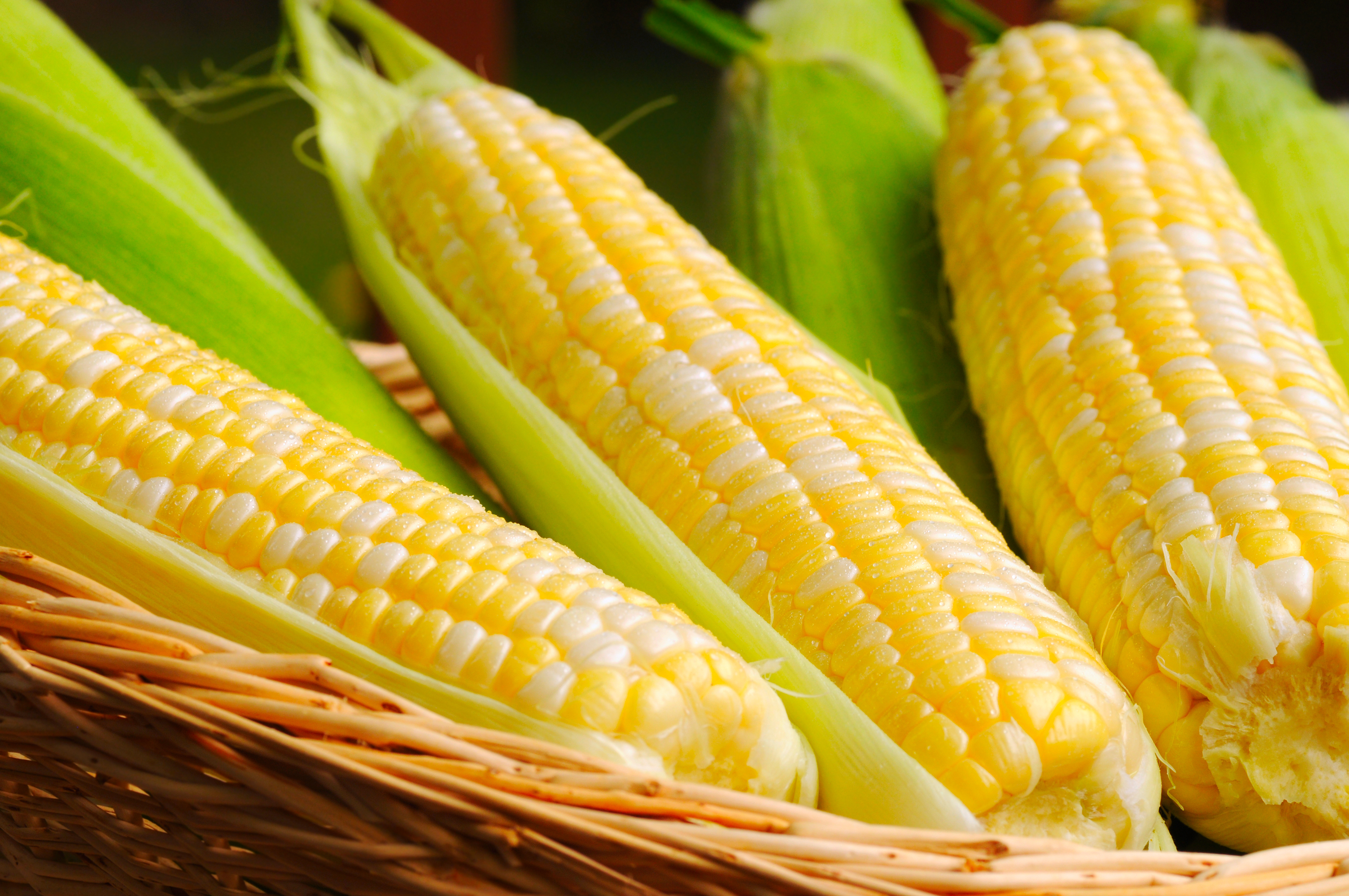 Weekend Specials August 19-21: Trout + Short Rib + Fresh Ranch Corn